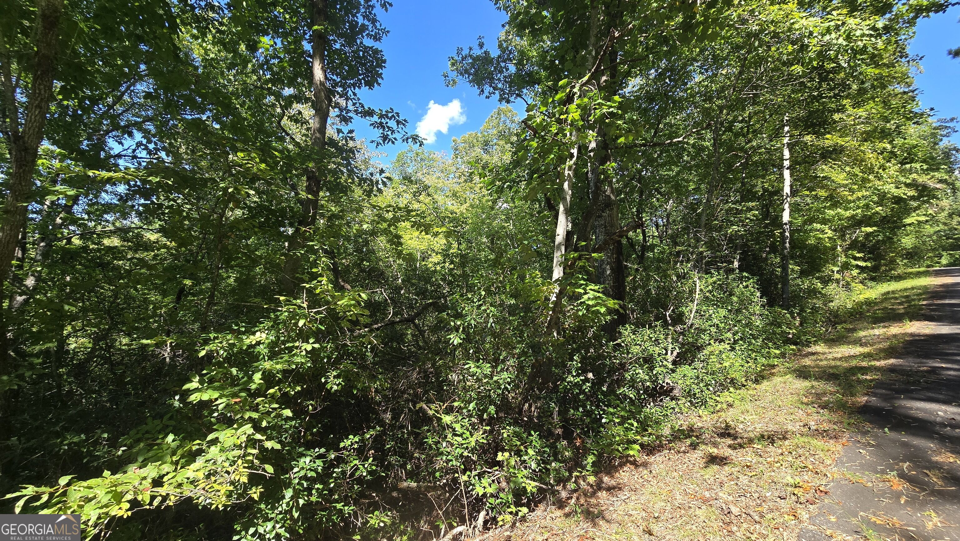 Lot 1b Victoria Woods Hiawassee GA 30546