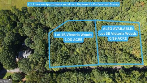 Lot 1b Victoria Woods Hiawassee GA 30546