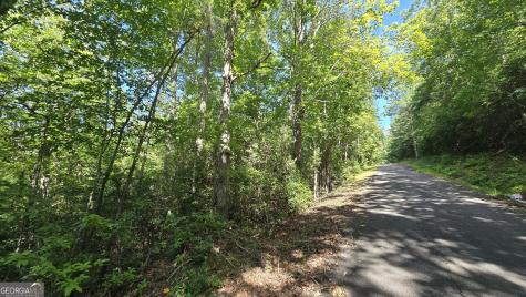 Lot 1b Victoria Woods Hiawassee GA 30546