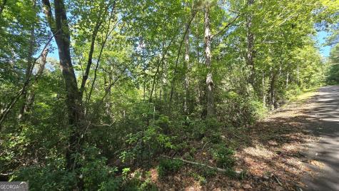 Lot 1b Victoria Woods Hiawassee GA 30546