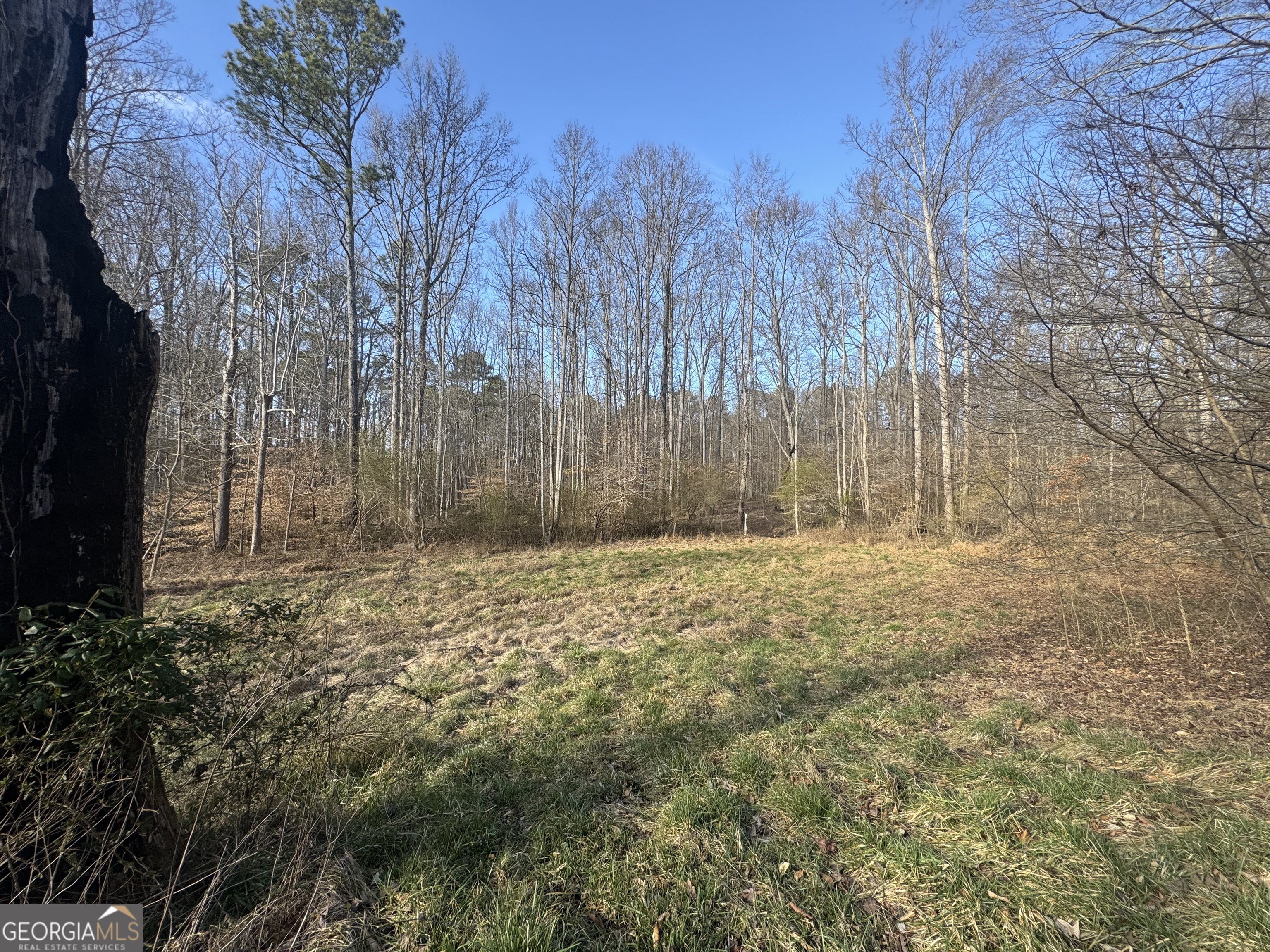 369 Thompson Lane Jasper GA 30143