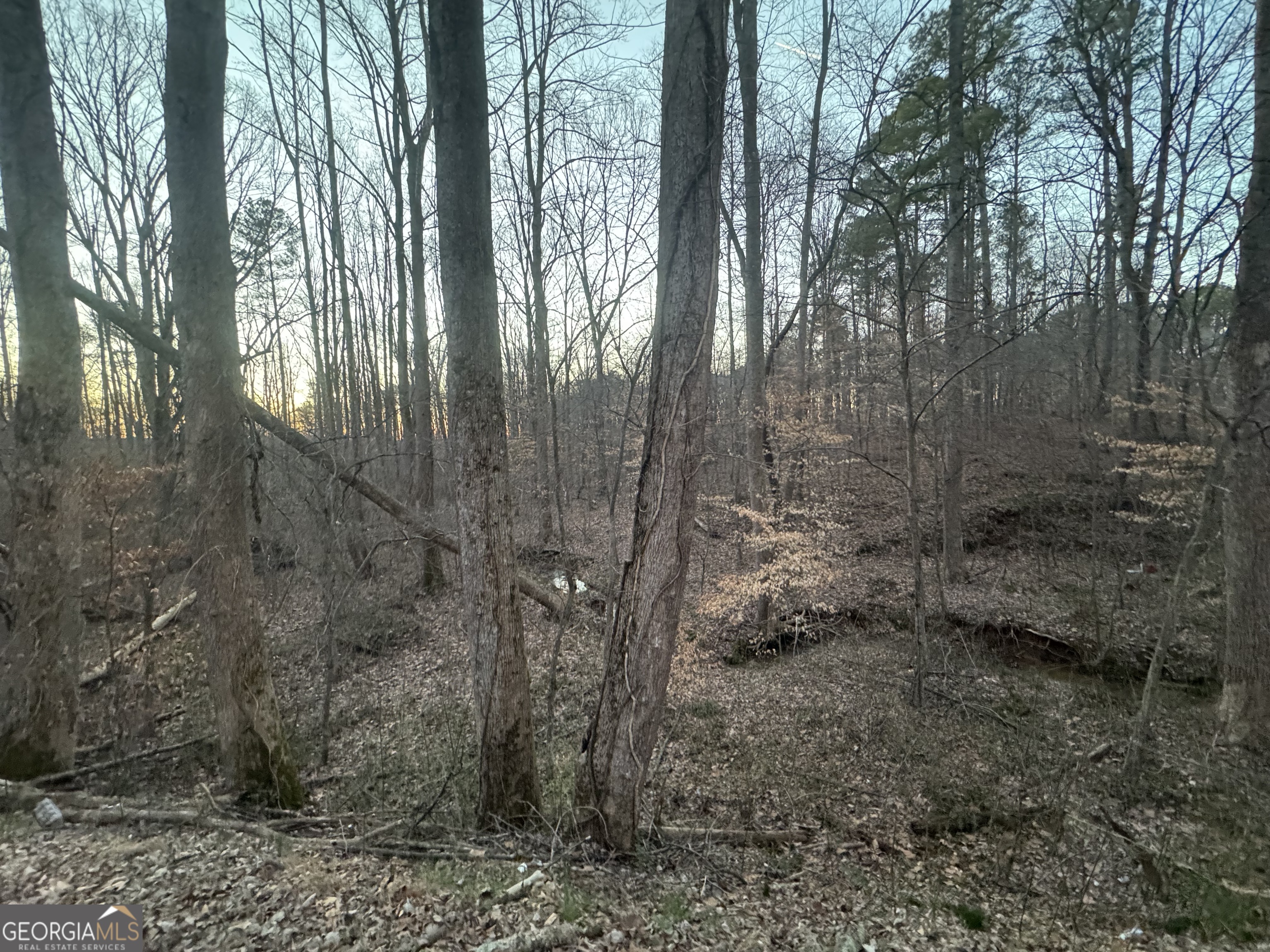 369 Thompson Lane Jasper GA 30143