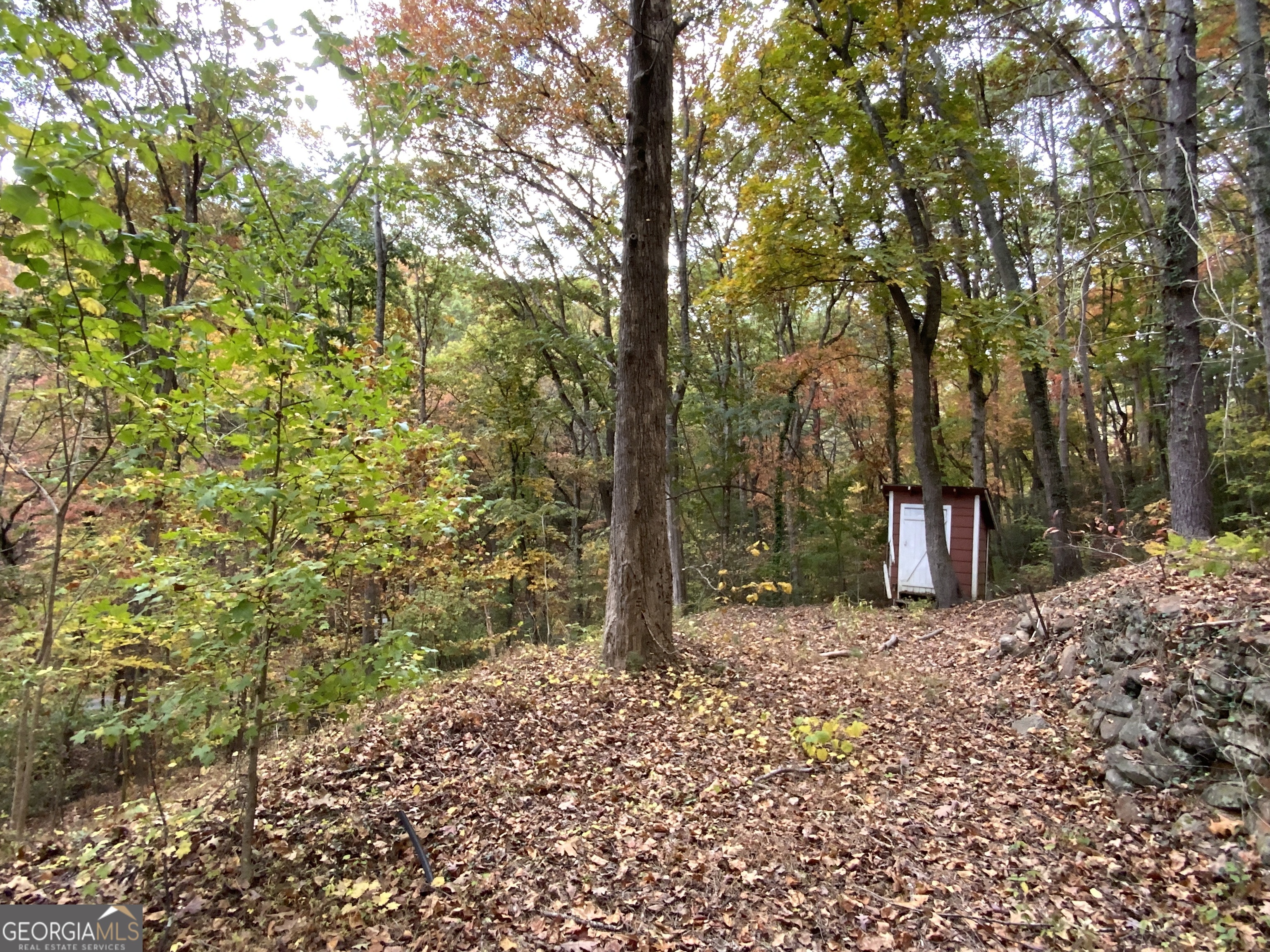 224 Magnolia Drive Sautee Nacoochee GA 30571