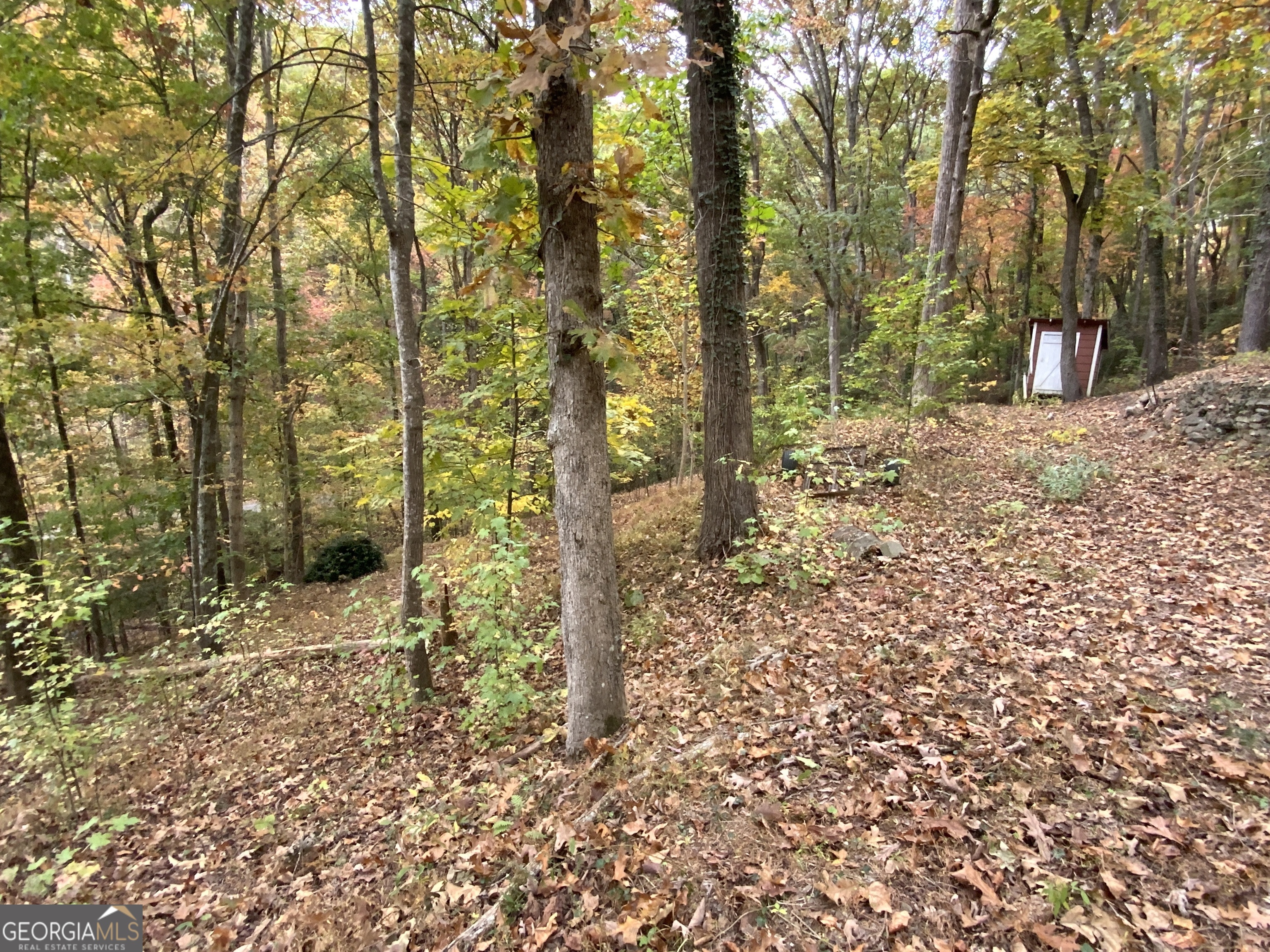 224 Magnolia Drive Sautee Nacoochee GA 30571
