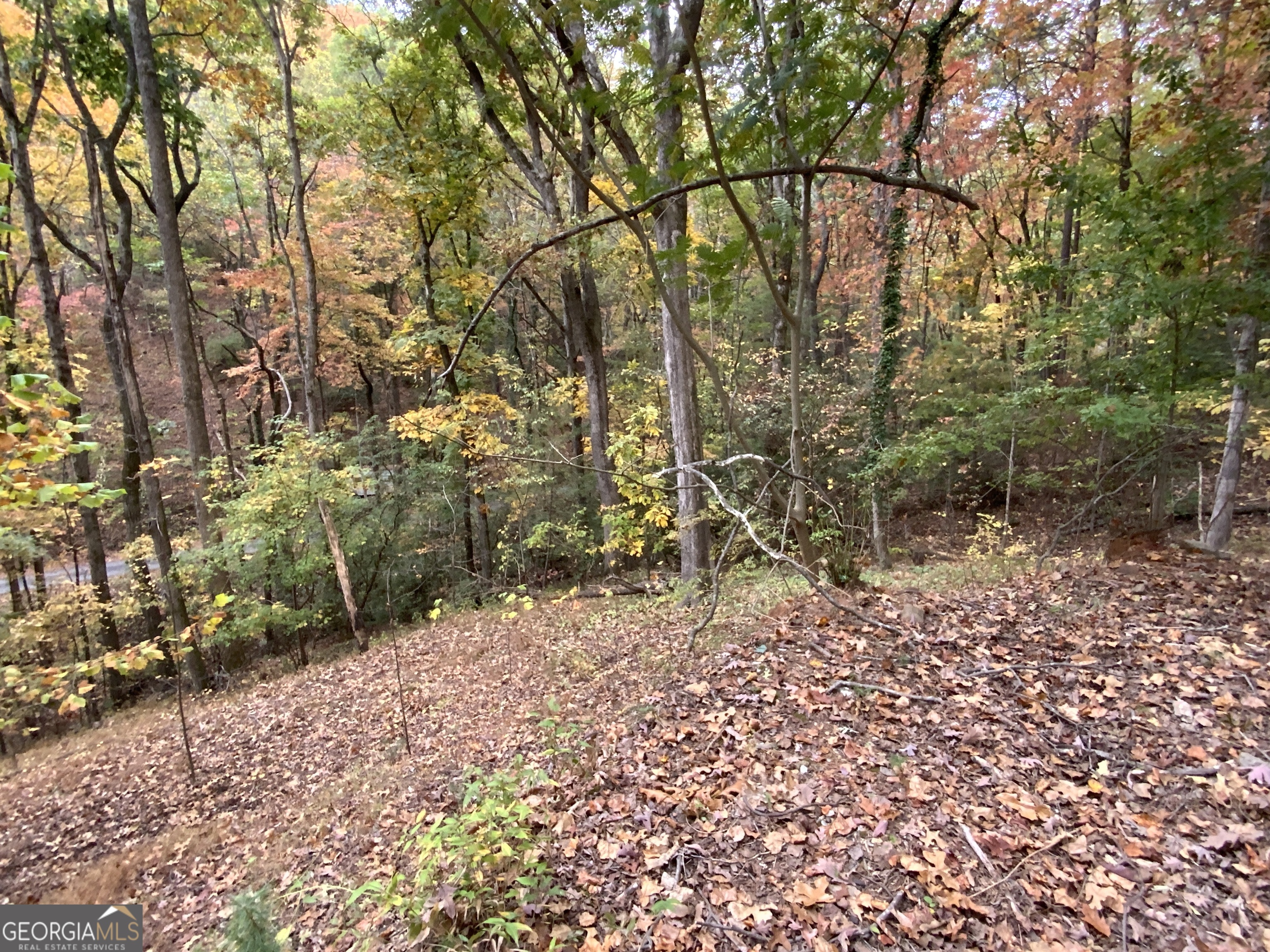 224 Magnolia Drive Sautee Nacoochee GA 30571