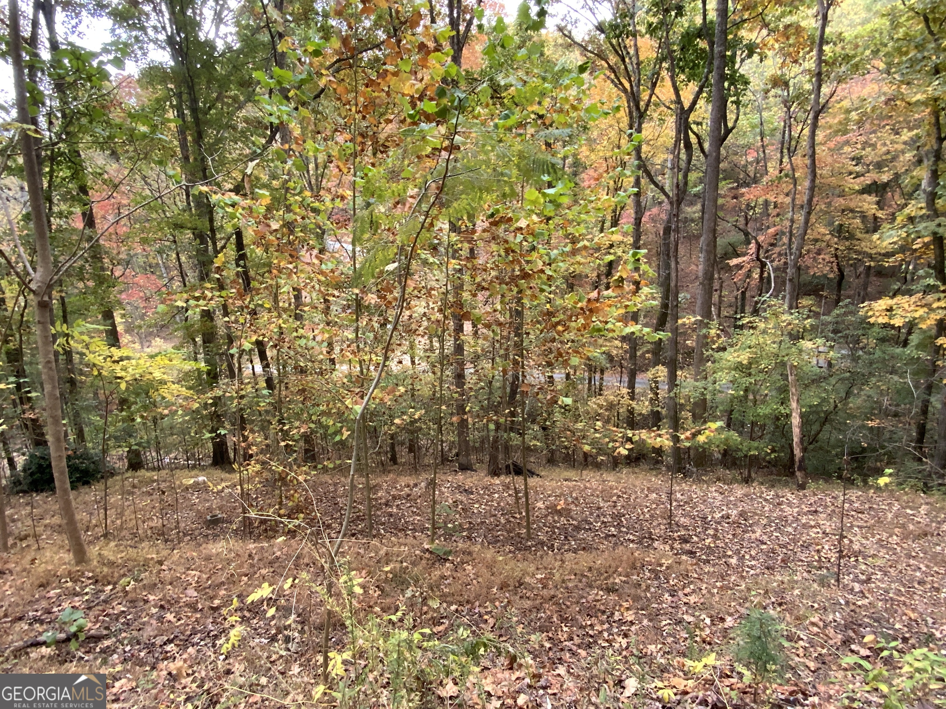 224 Magnolia Drive Sautee Nacoochee GA 30571