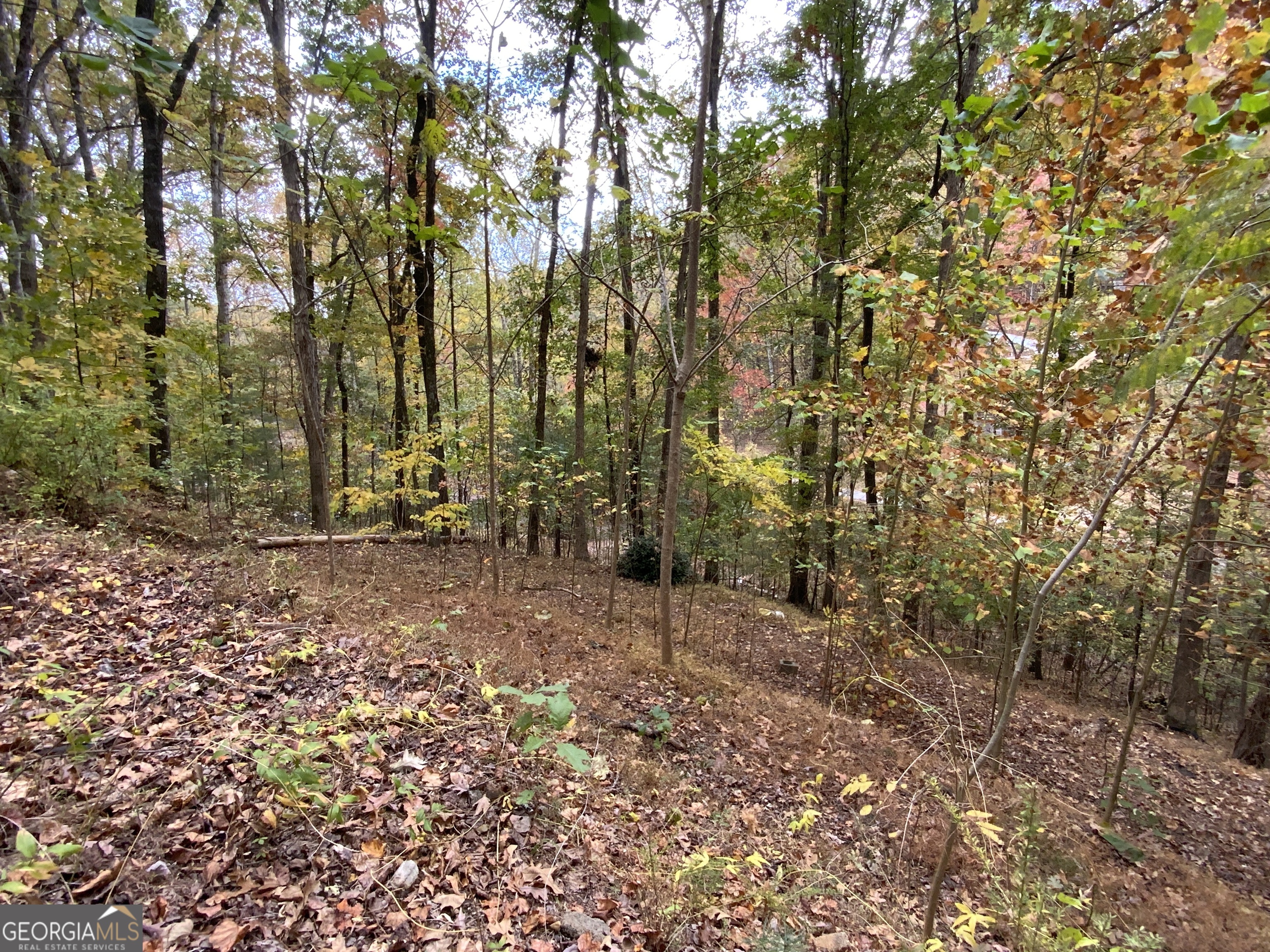 224 Magnolia Drive Sautee Nacoochee GA 30571