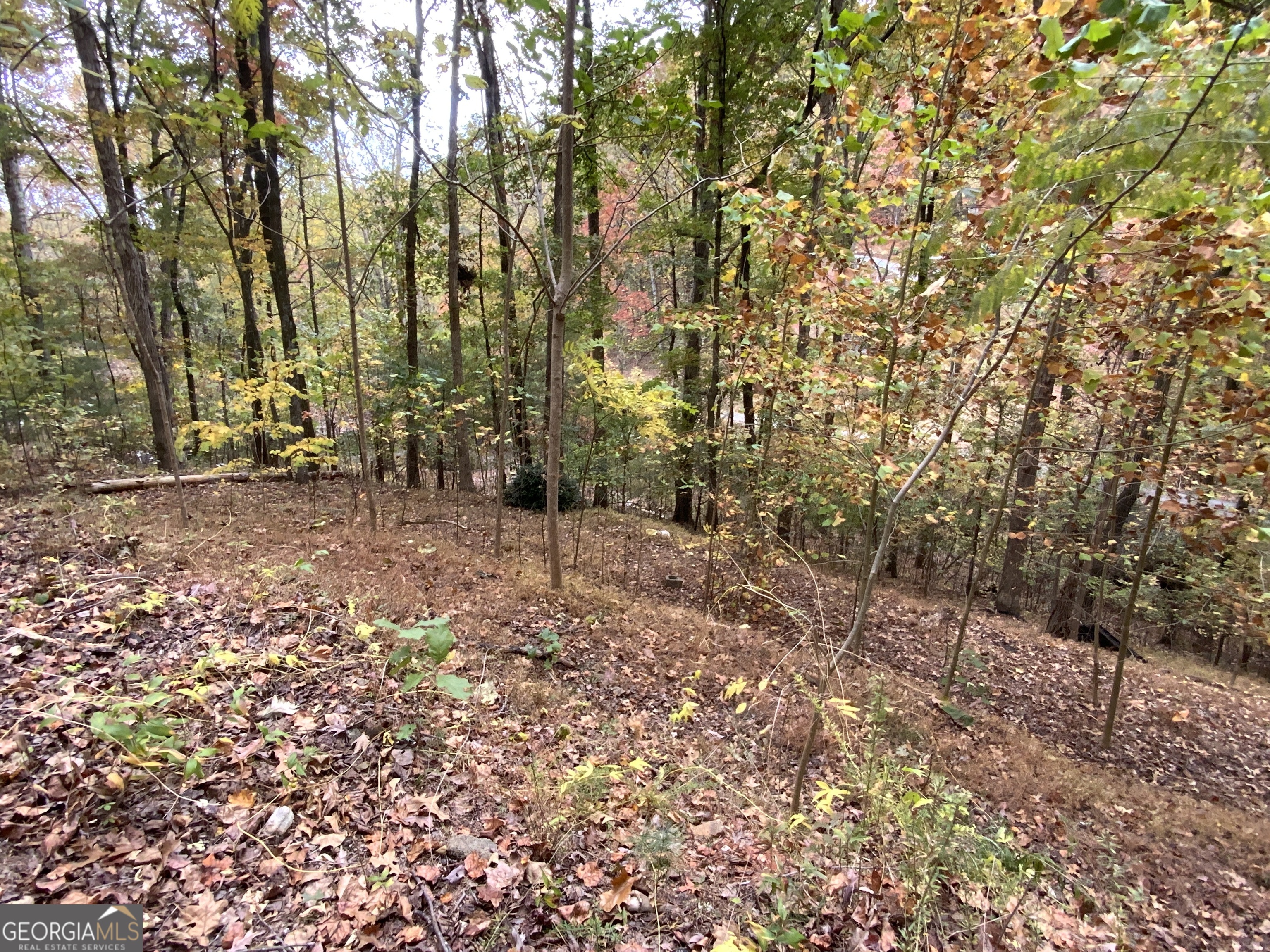 224 Magnolia Drive Sautee Nacoochee GA 30571