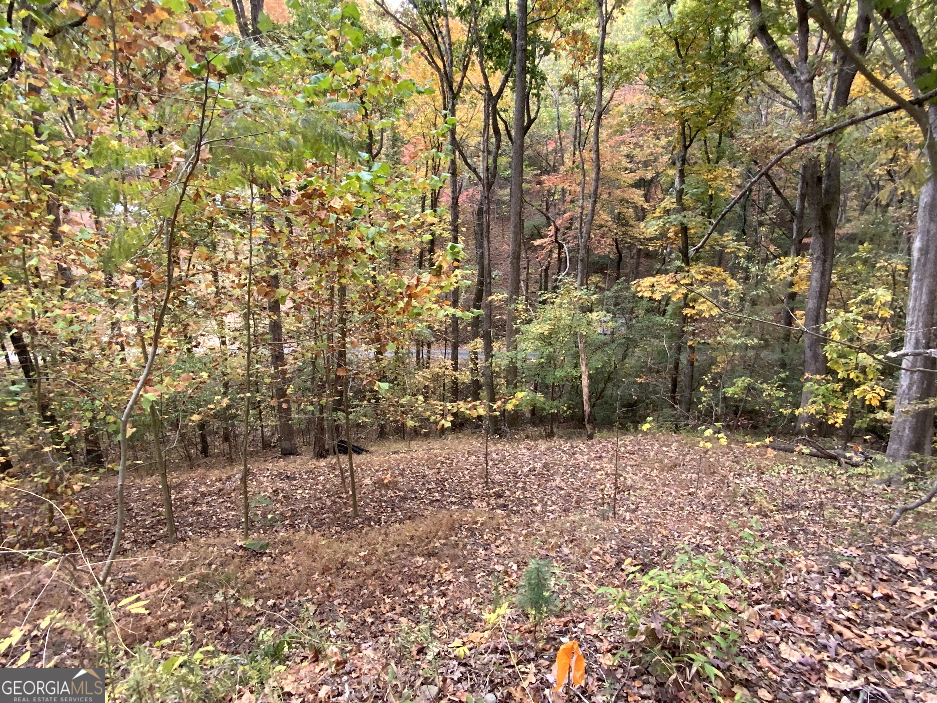 224 Magnolia Drive Sautee Nacoochee GA 30571