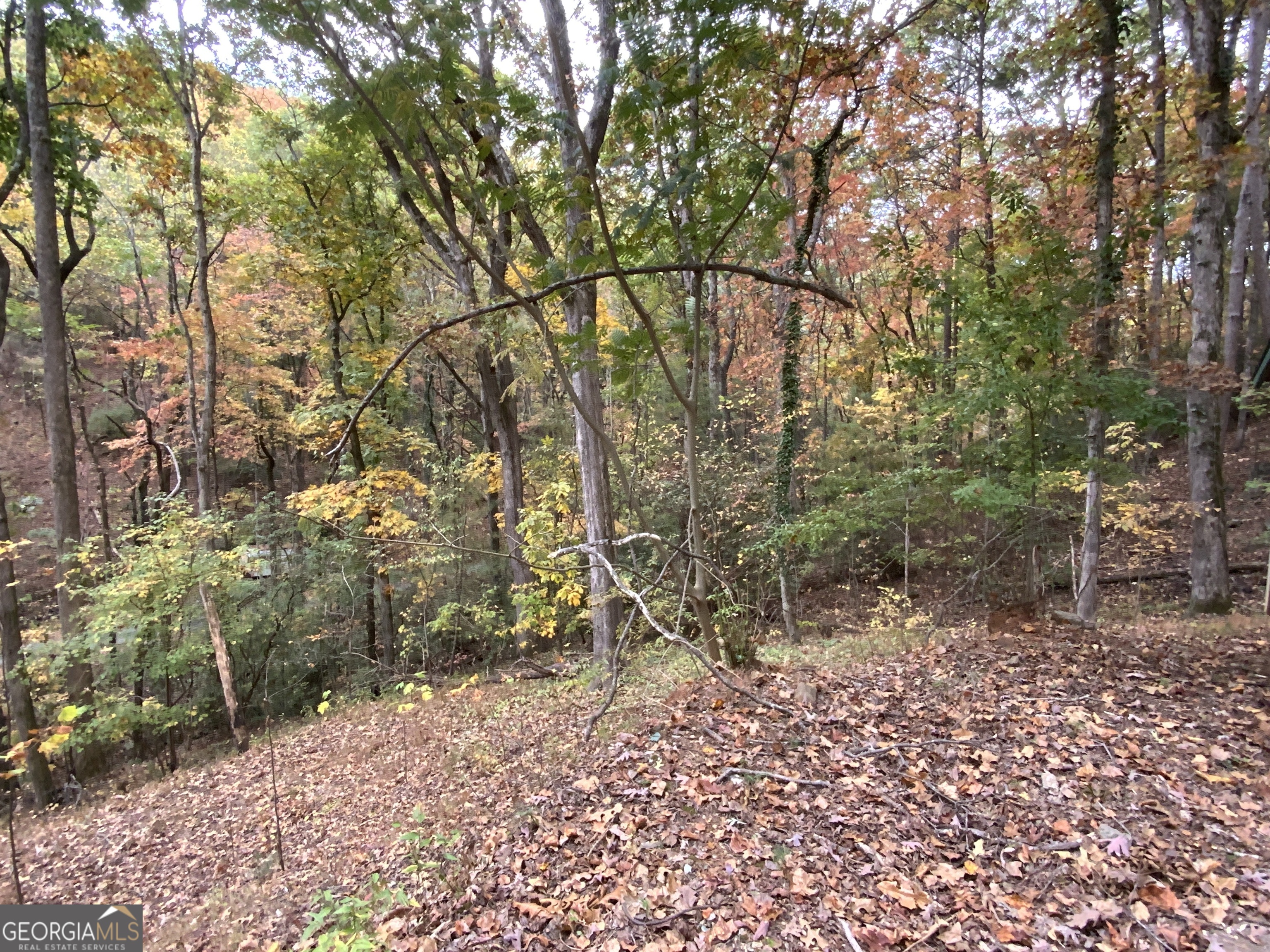 224 Magnolia Drive Sautee Nacoochee GA 30571