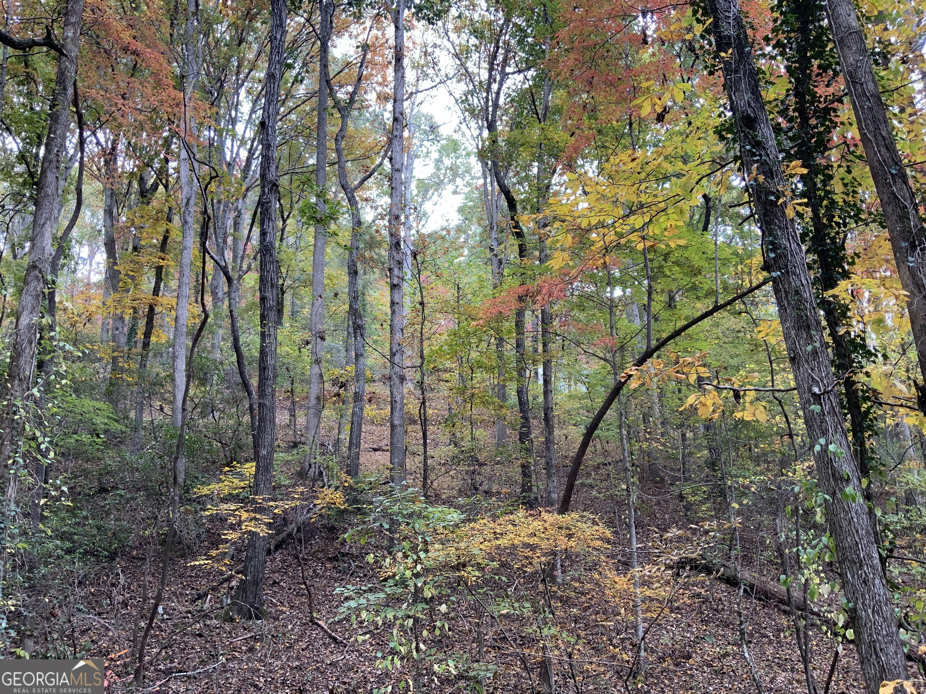 224 Magnolia Drive Sautee Nacoochee GA 30571