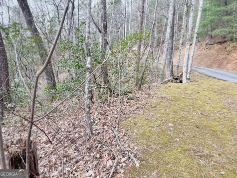 0 Monarch Lane Clayton GA 30525