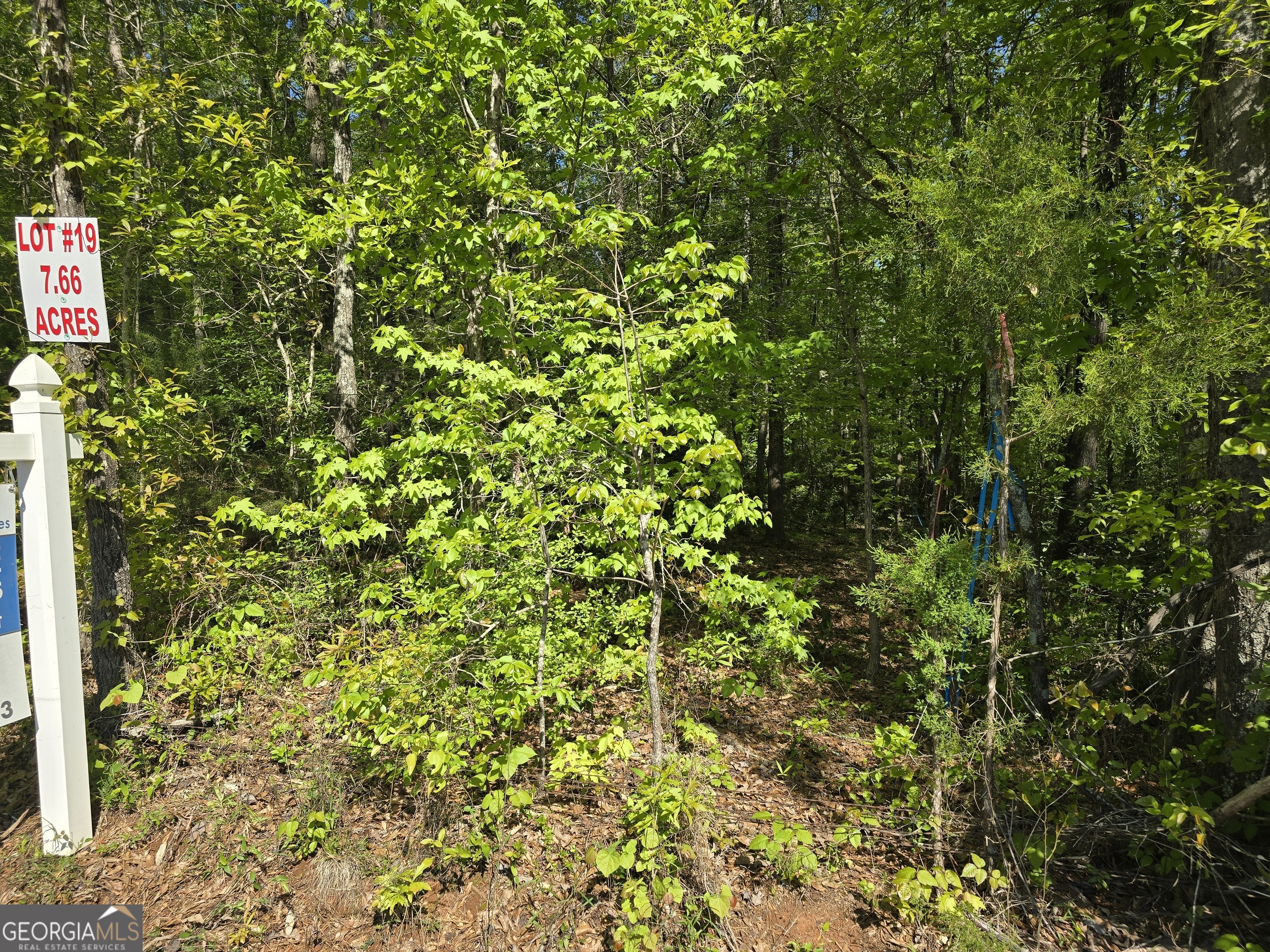 Lot 19 Smith Road Thomaston GA 30286