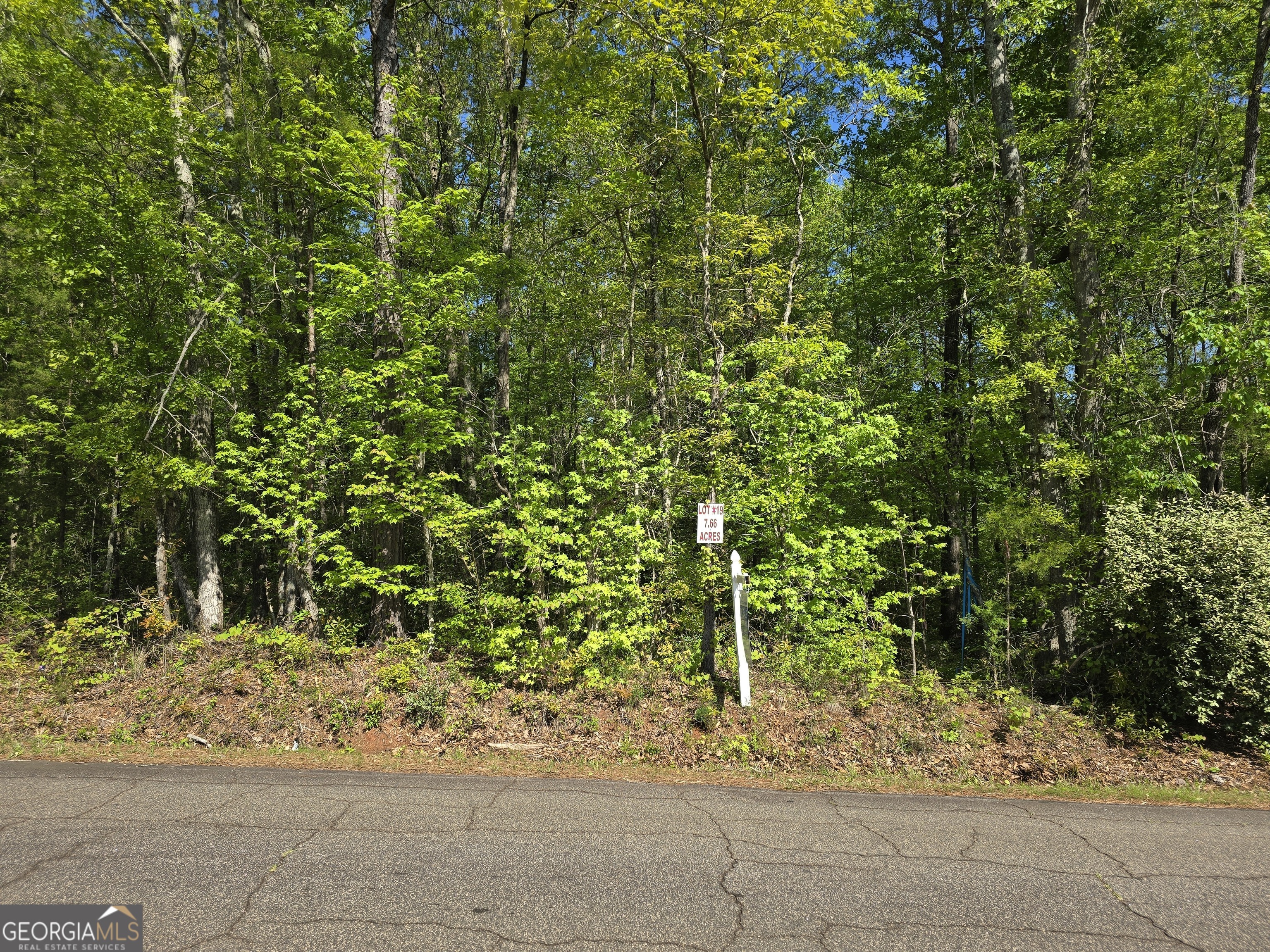 Lot 19 Smith Road Thomaston GA 30286