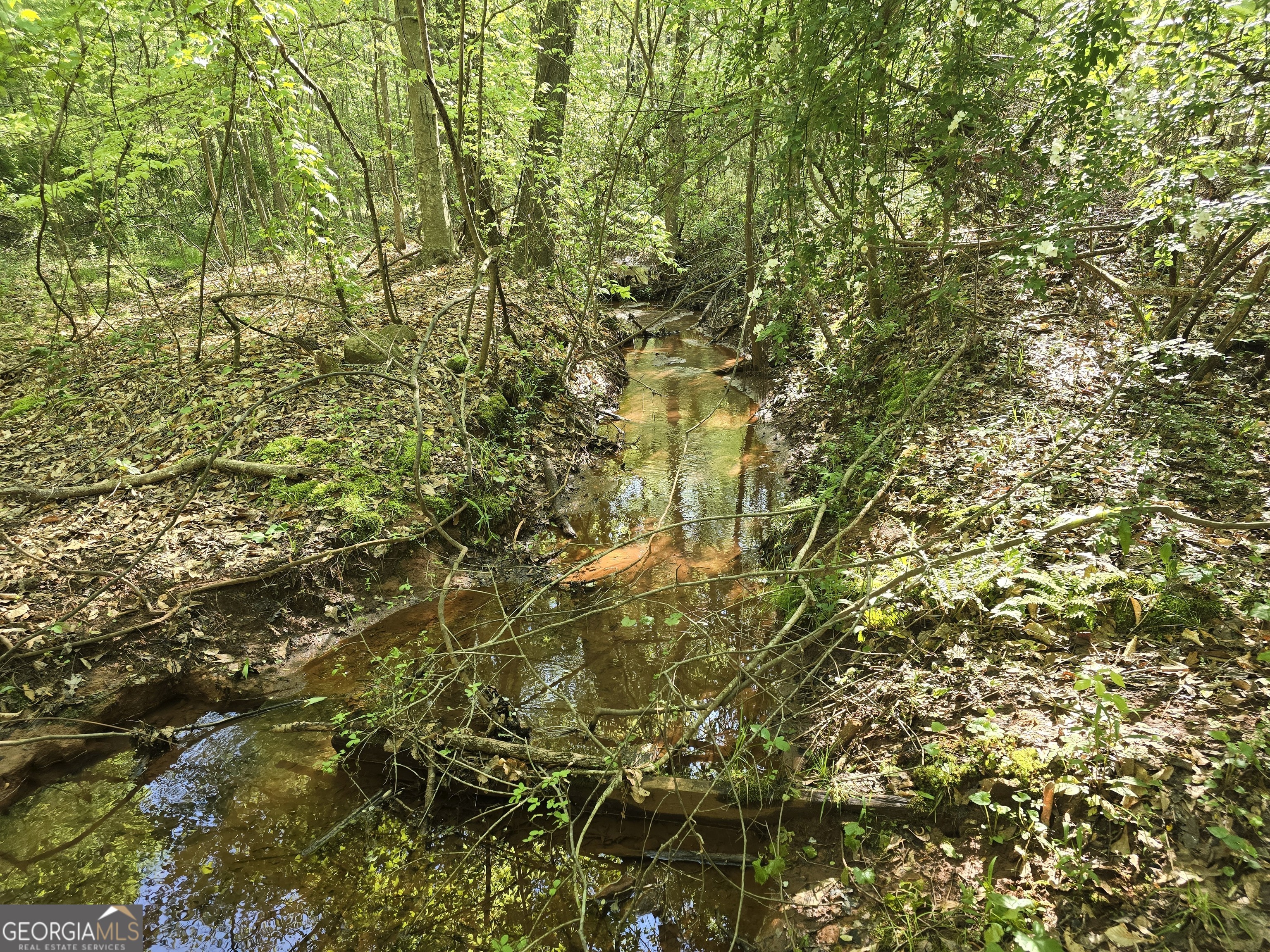 Lot 19 Smith Road Thomaston GA 30286