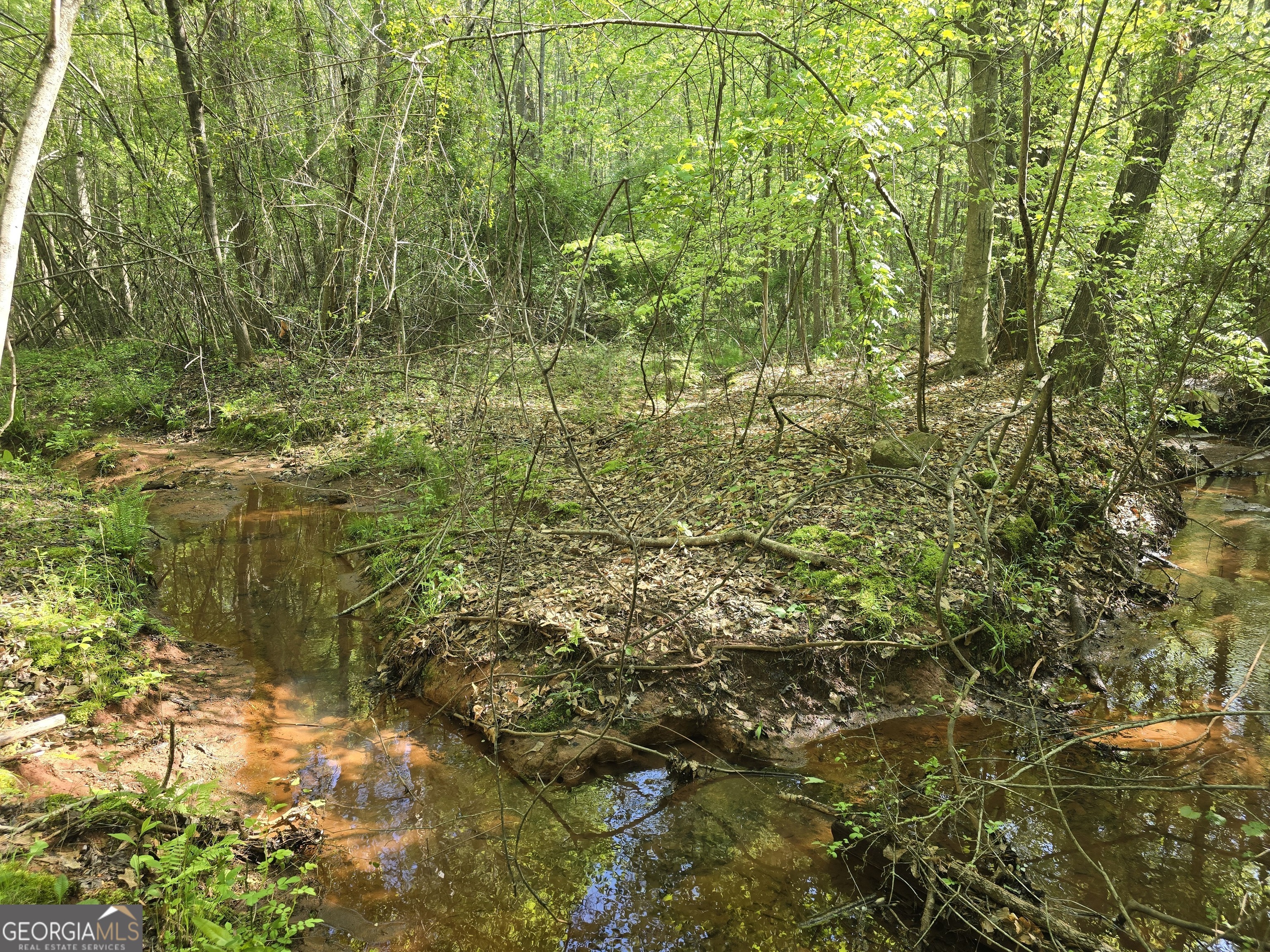 Lot 19 Smith Road Thomaston GA 30286
