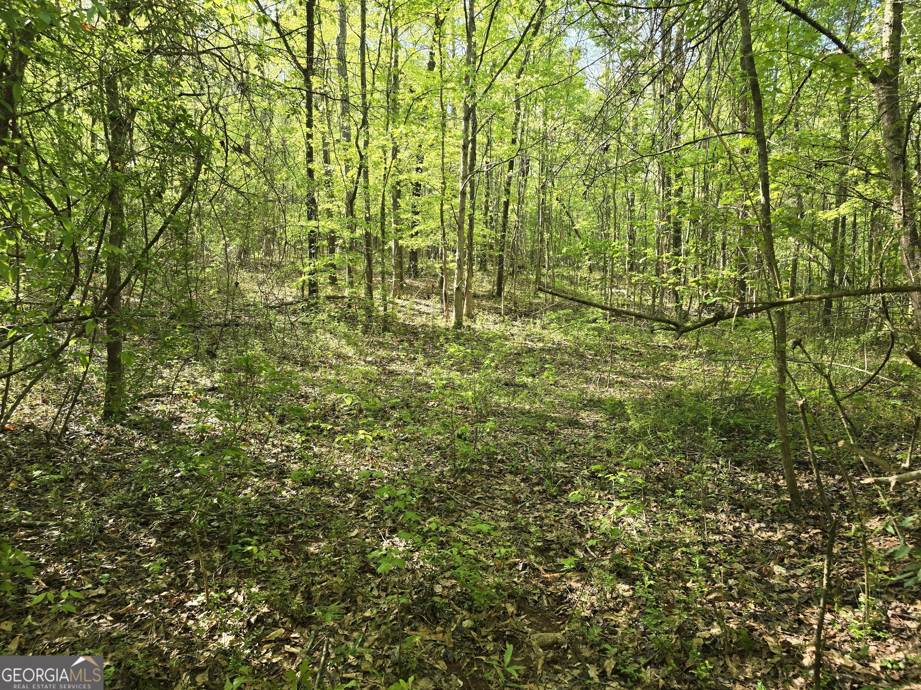 Lot 19 Smith Road Thomaston GA 30286