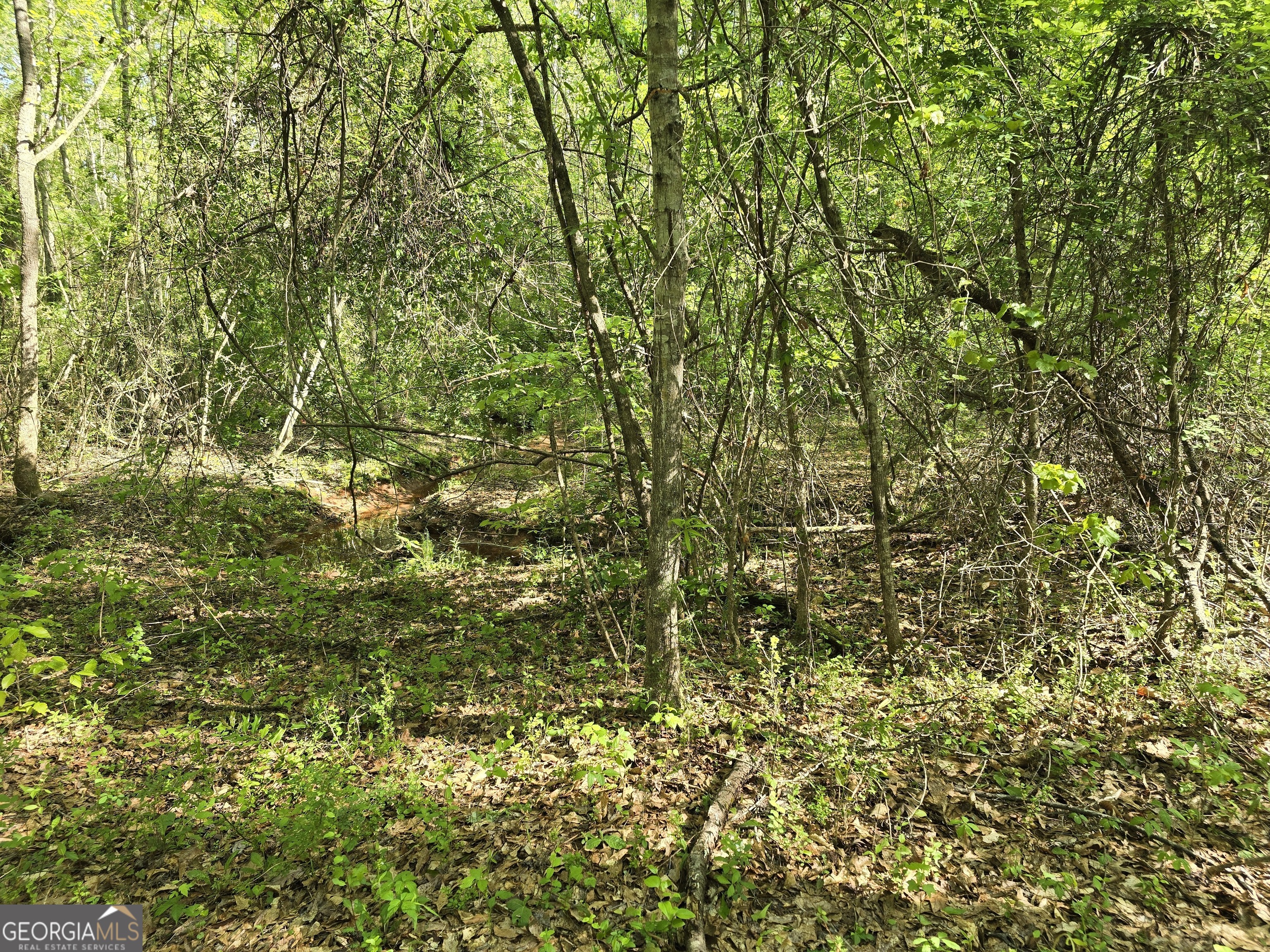 Lot 19 Smith Road Thomaston GA 30286