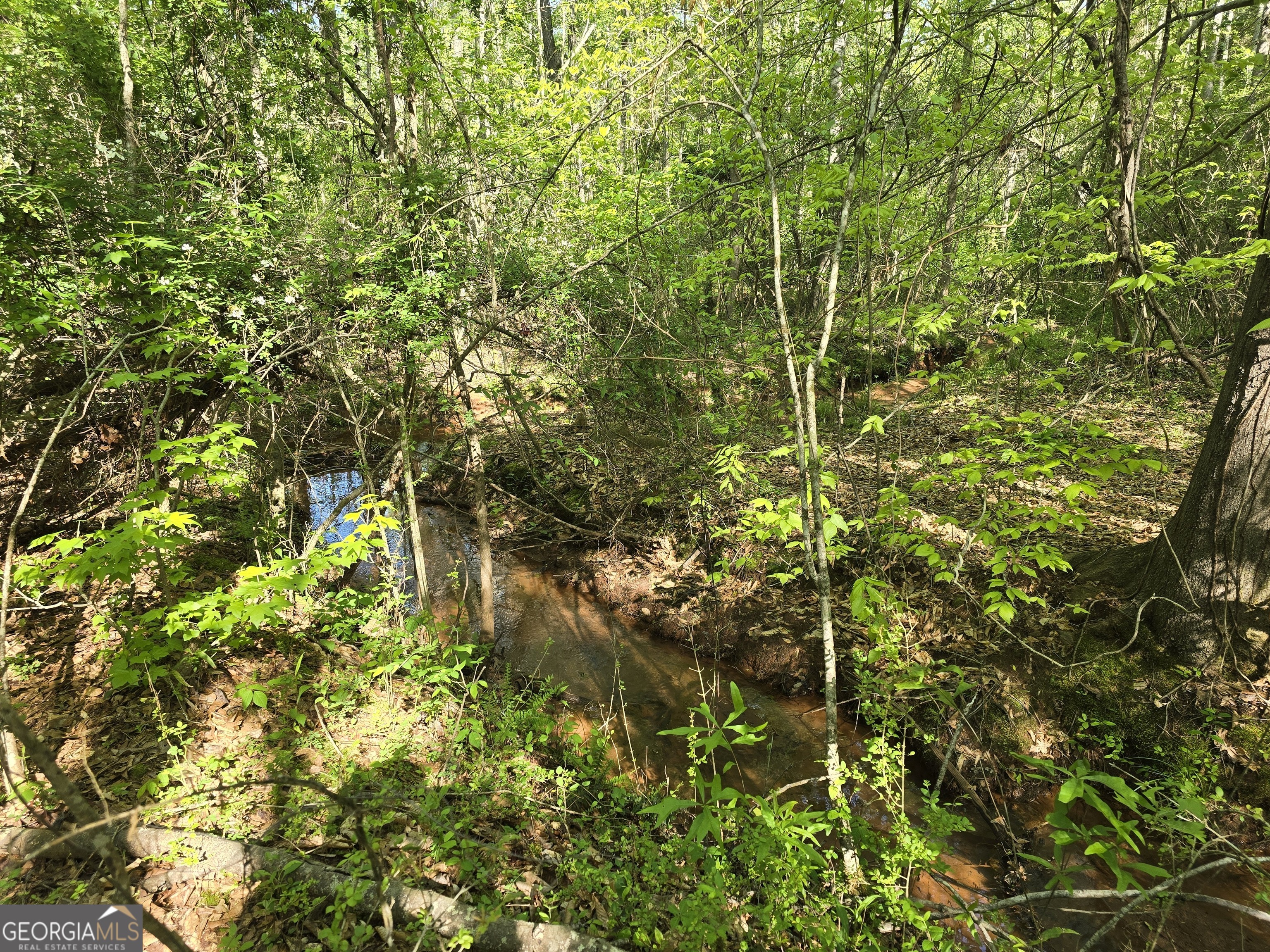 Lot 19 Smith Road Thomaston GA 30286