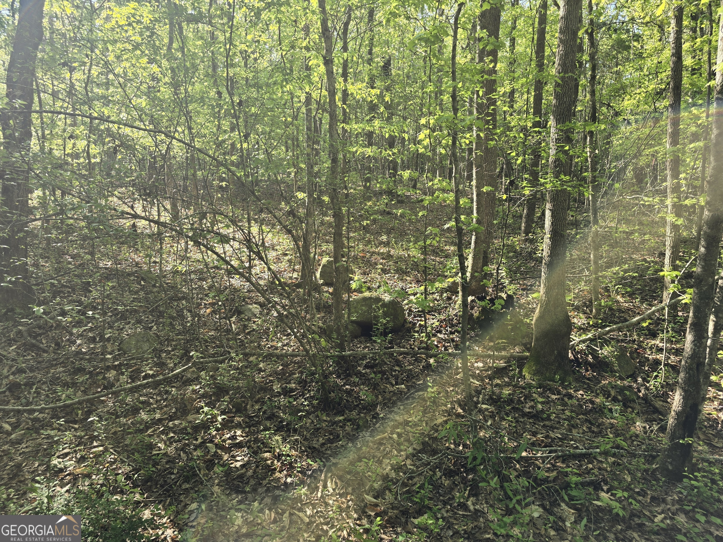 Lot 19 Smith Road Thomaston GA 30286
