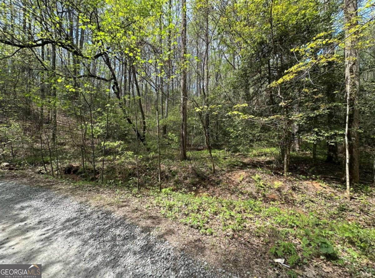 Lot 20 Big Ben Road Ellijay GA 30540