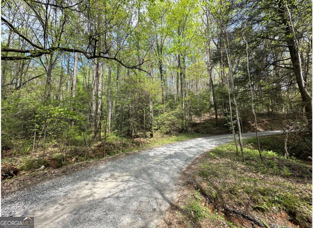 Lot 20 Big Ben Road Ellijay GA 30540