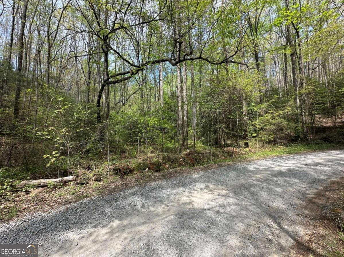 Lot 20 Big Ben Road Ellijay GA 30540