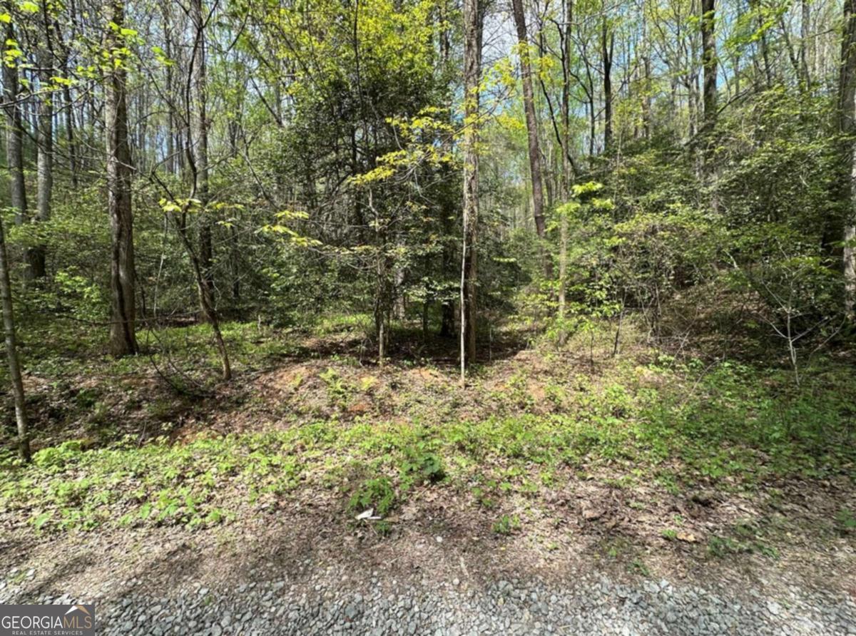 Lot 20 Big Ben Road Ellijay GA 30540