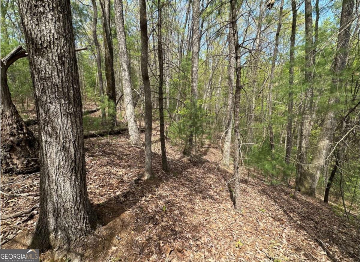 Lot 20 Big Ben Road Ellijay GA 30540