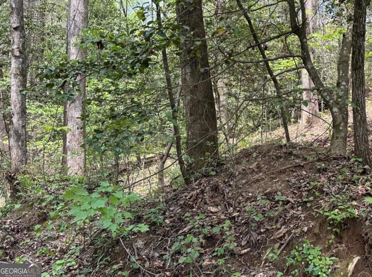 Lot 20 Big Ben Road Ellijay GA 30540