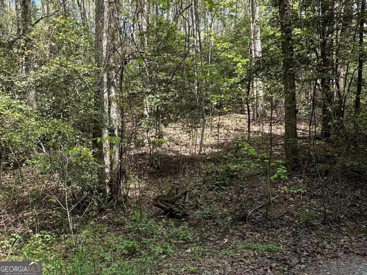 Lot 20 Big Ben Road Ellijay GA 30540