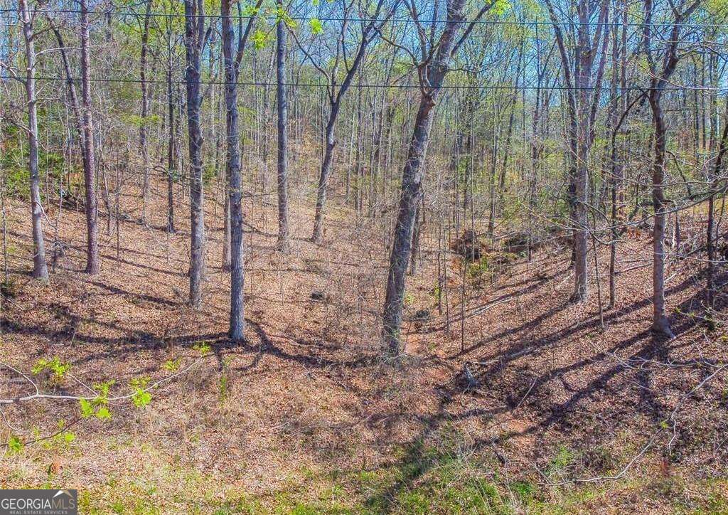 0 Arrow Lane Lavonia GA 30553
