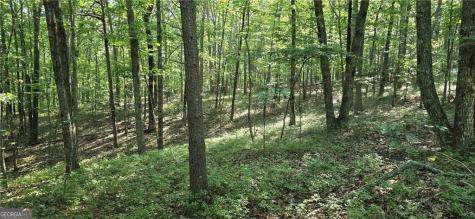 1356 Firetower Road Jasper GA 30143