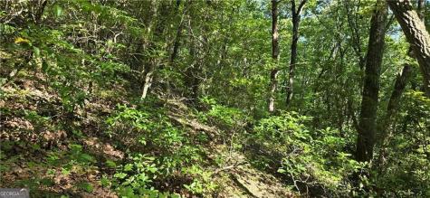1356 Firetower Road Jasper GA 30143