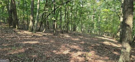 1356 Firetower Road Jasper GA 30143
