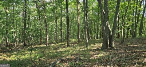 1356 Firetower Road Jasper GA 30143
