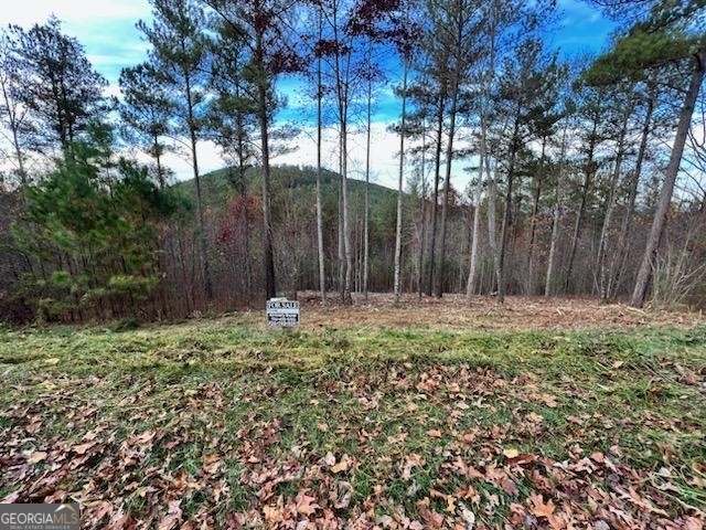 0 Ridge Peak View Blairsville GA 30512