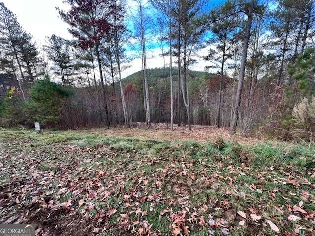 0 Ridge Peak View Blairsville GA 30512