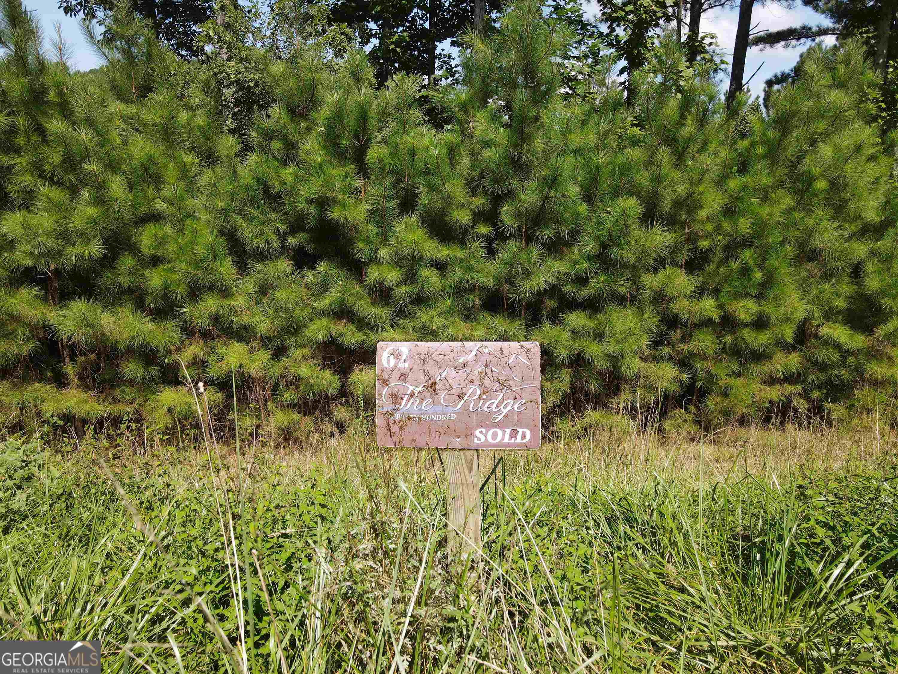 0 Ridge Peak View Blairsville GA 30512