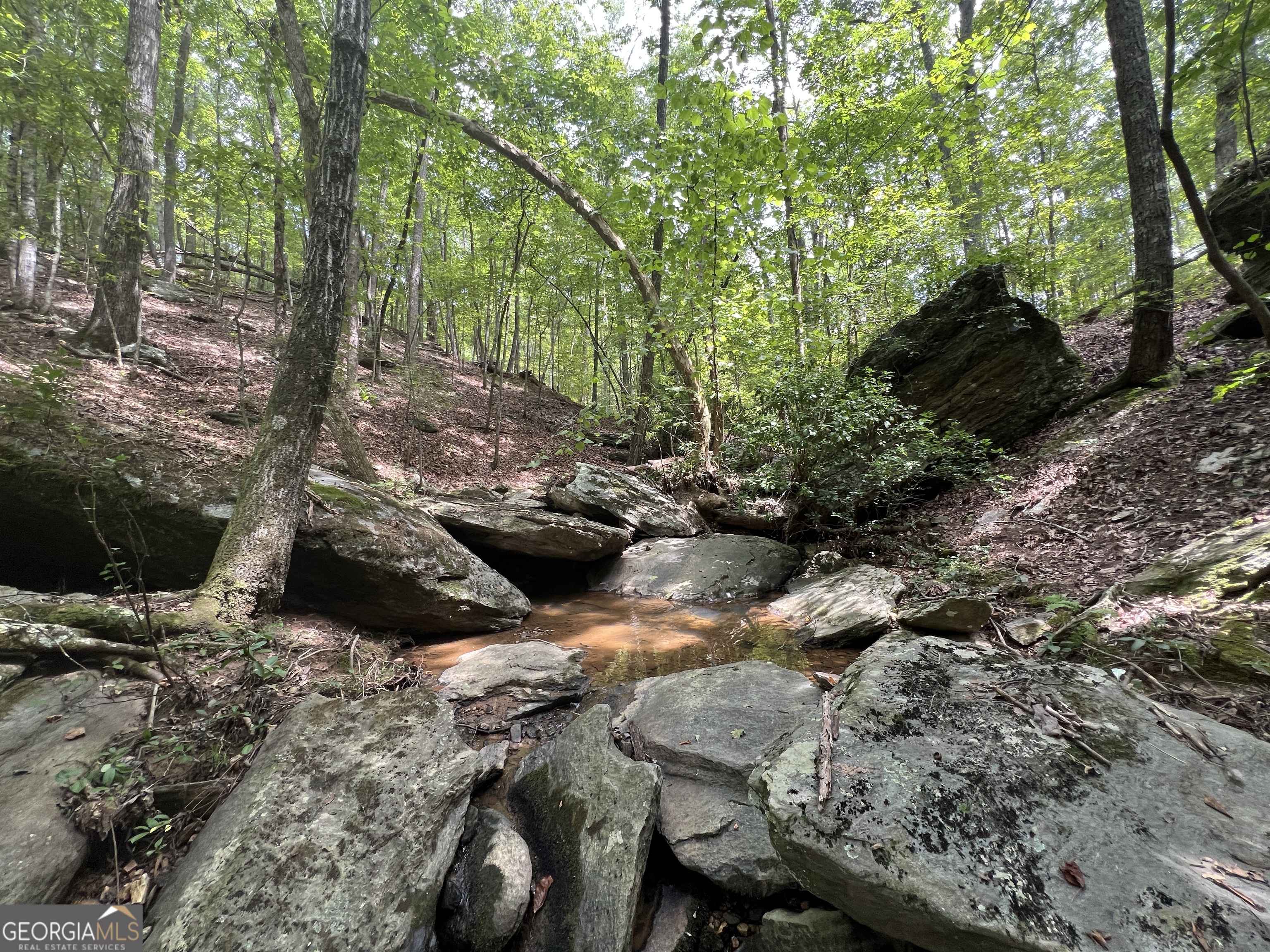 0 Vinson Mountain Road Rockmart GA 30153