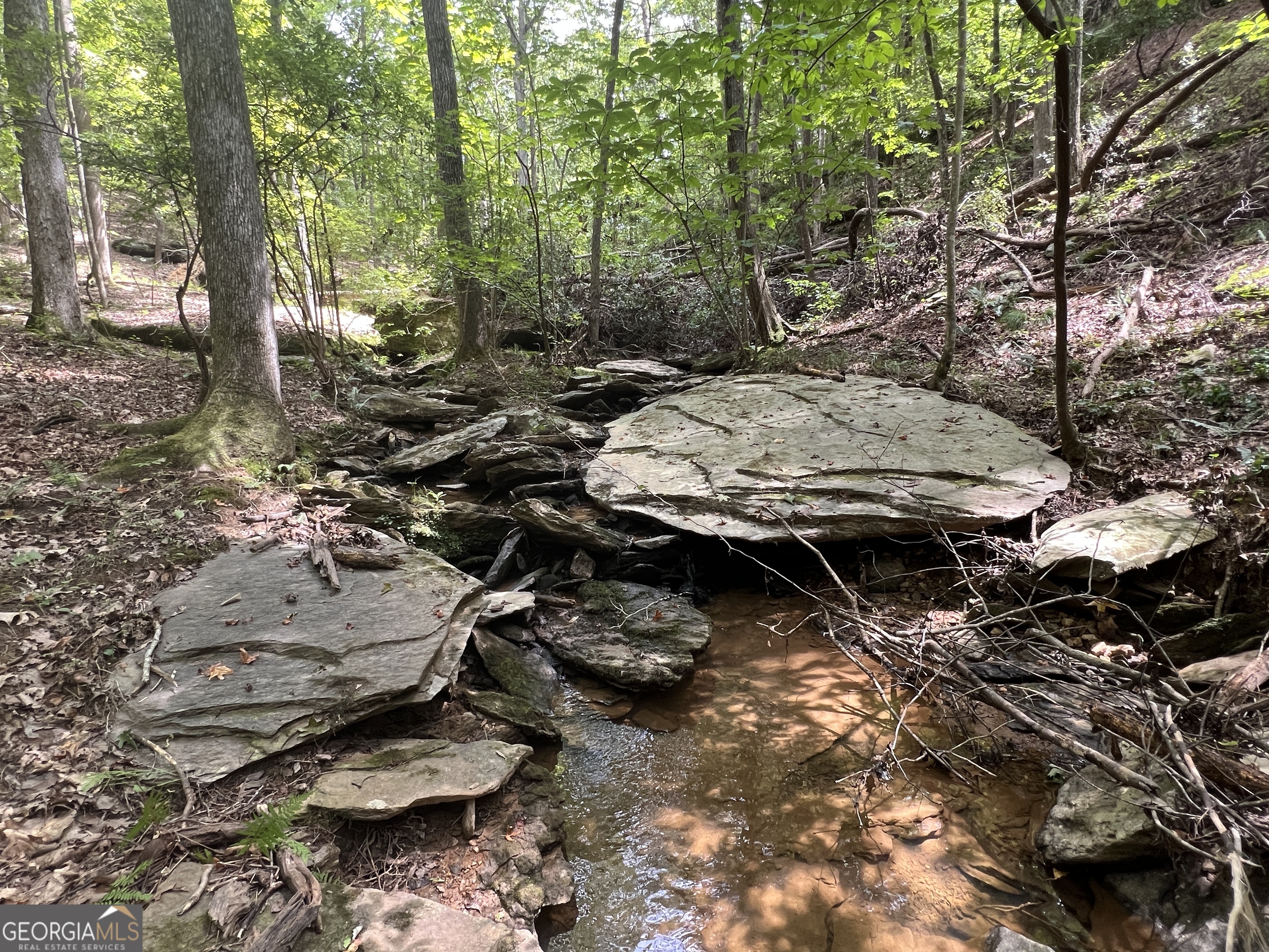 0 Vinson Mountain Road Rockmart GA 30153