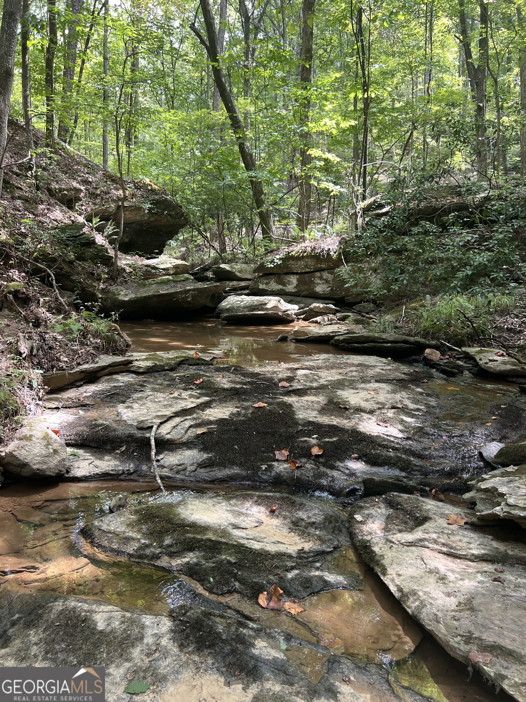 0 Vinson Mountain Road Rockmart GA 30153