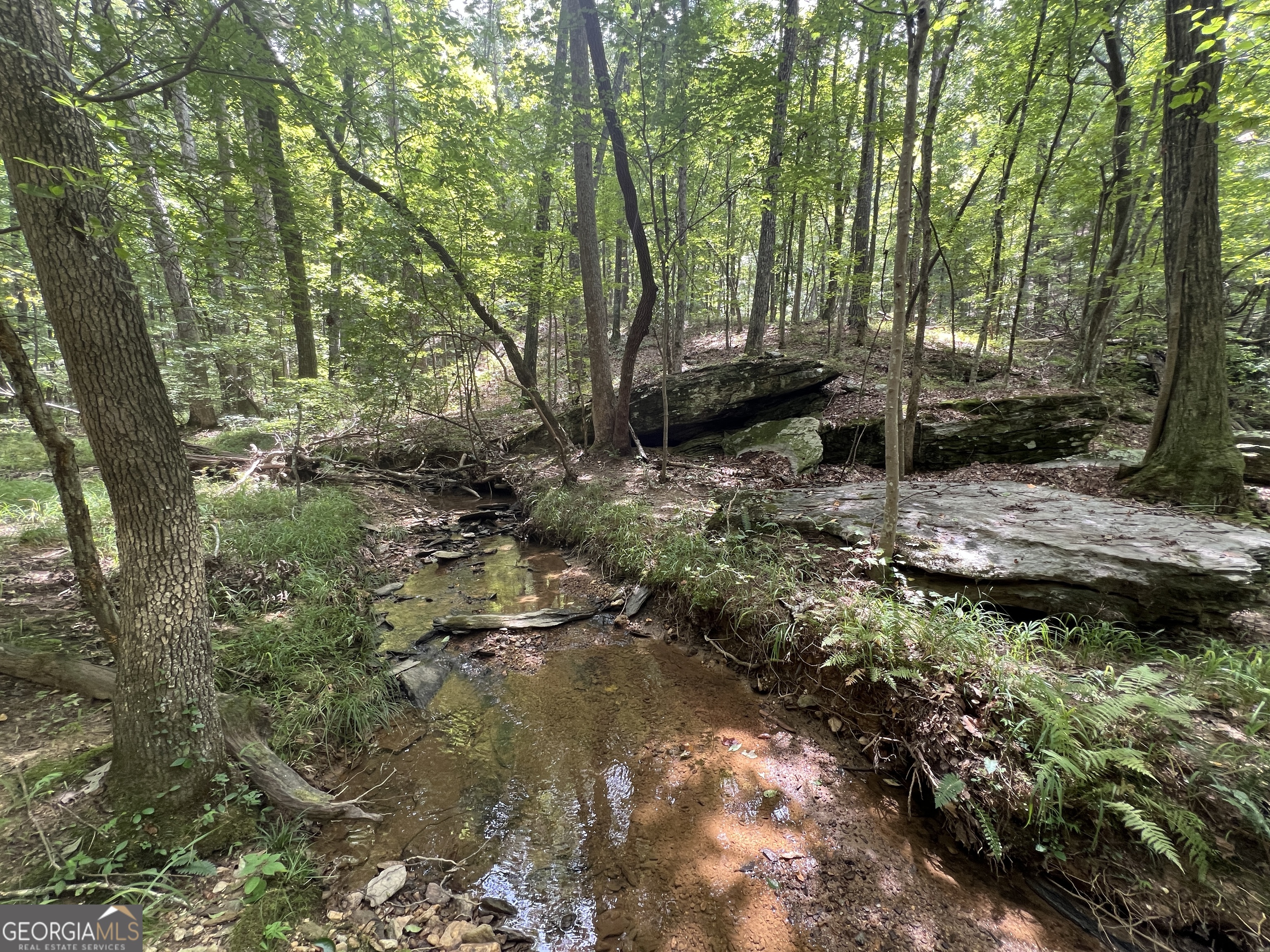 0 Vinson Mountain Road Rockmart GA 30153