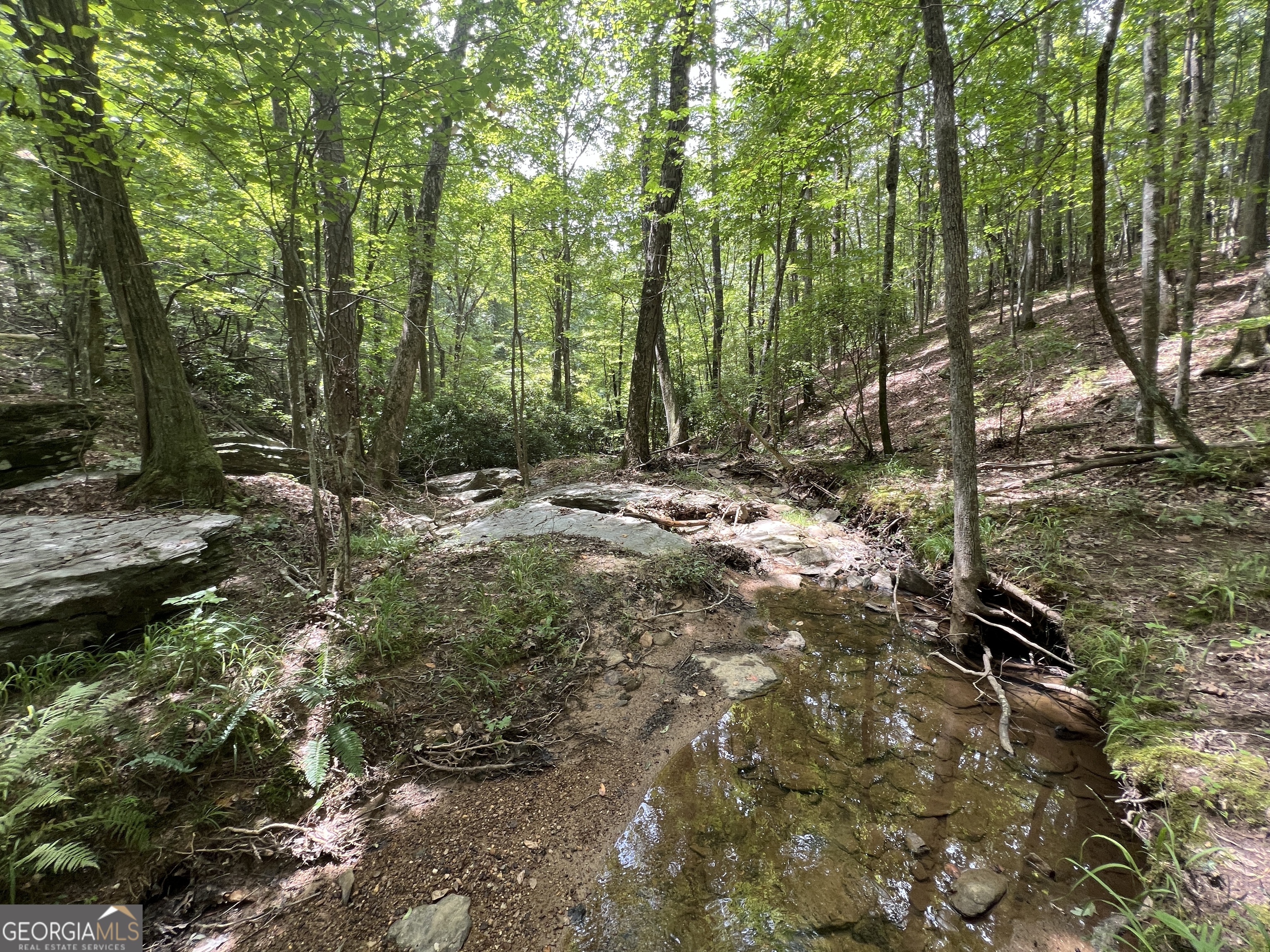 0 Vinson Mountain Road Rockmart GA 30153