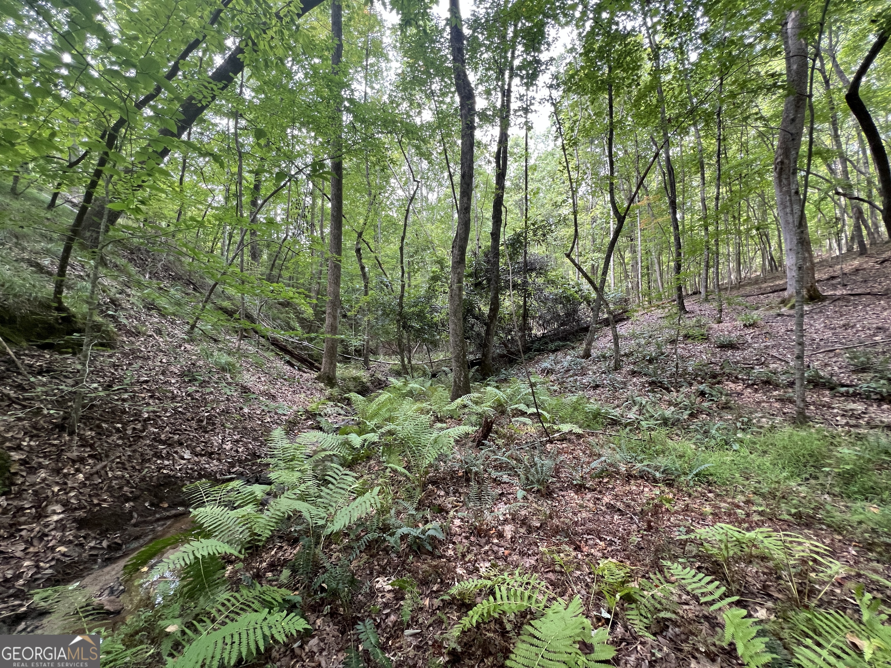 0 Vinson Mountain Road Rockmart GA 30153