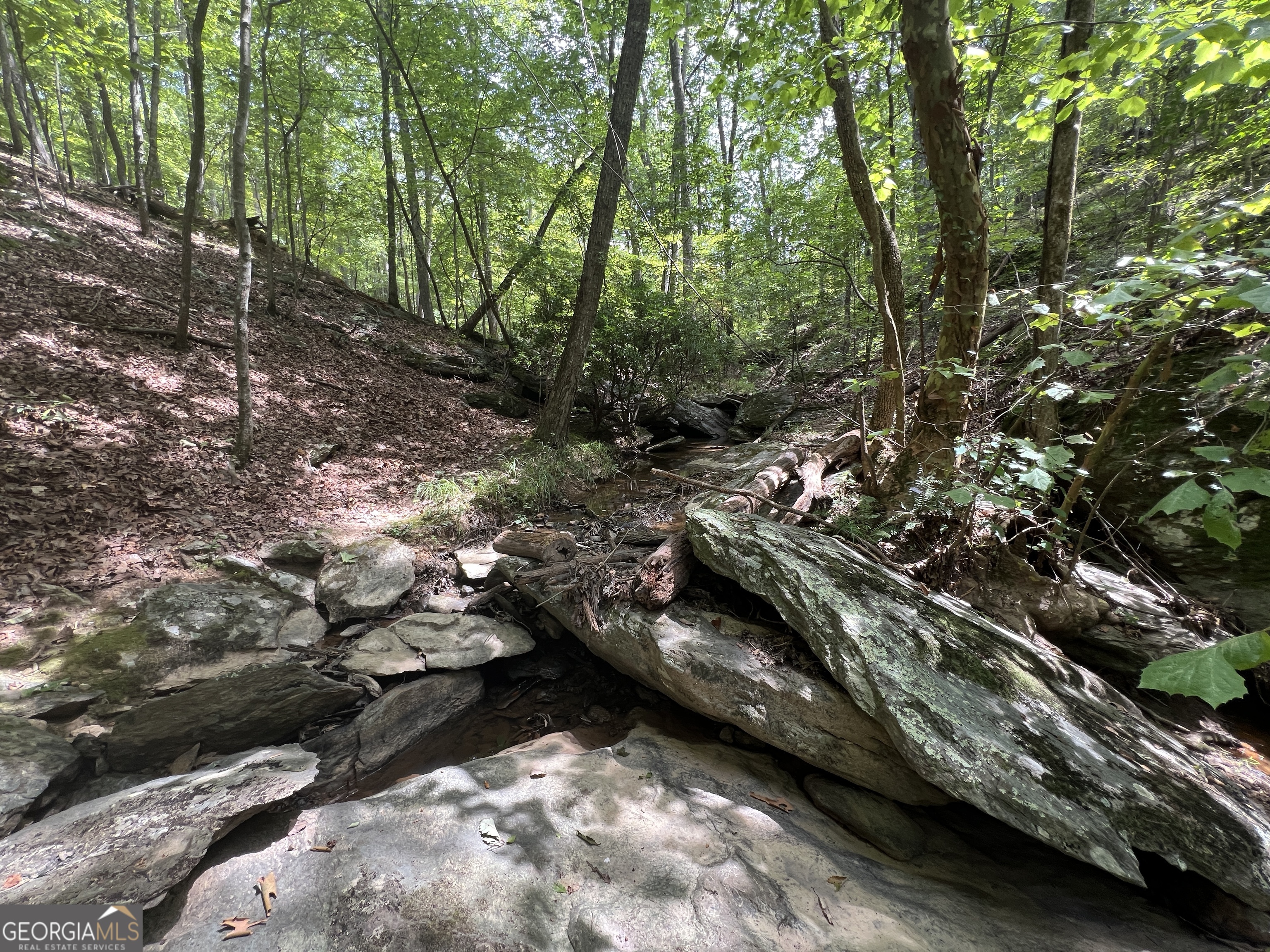0 Vinson Mountain Road Rockmart GA 30153