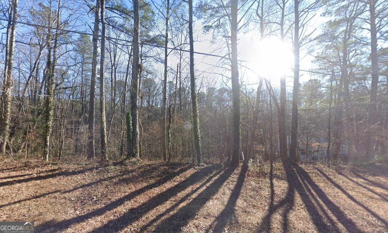 6509 Pleasant Drive Winston GA 30187