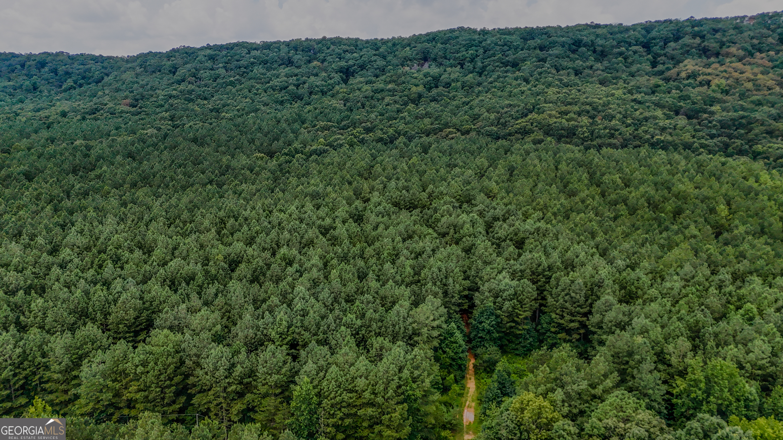 Tract 3 Back Valley Road Lyerly GA 30730