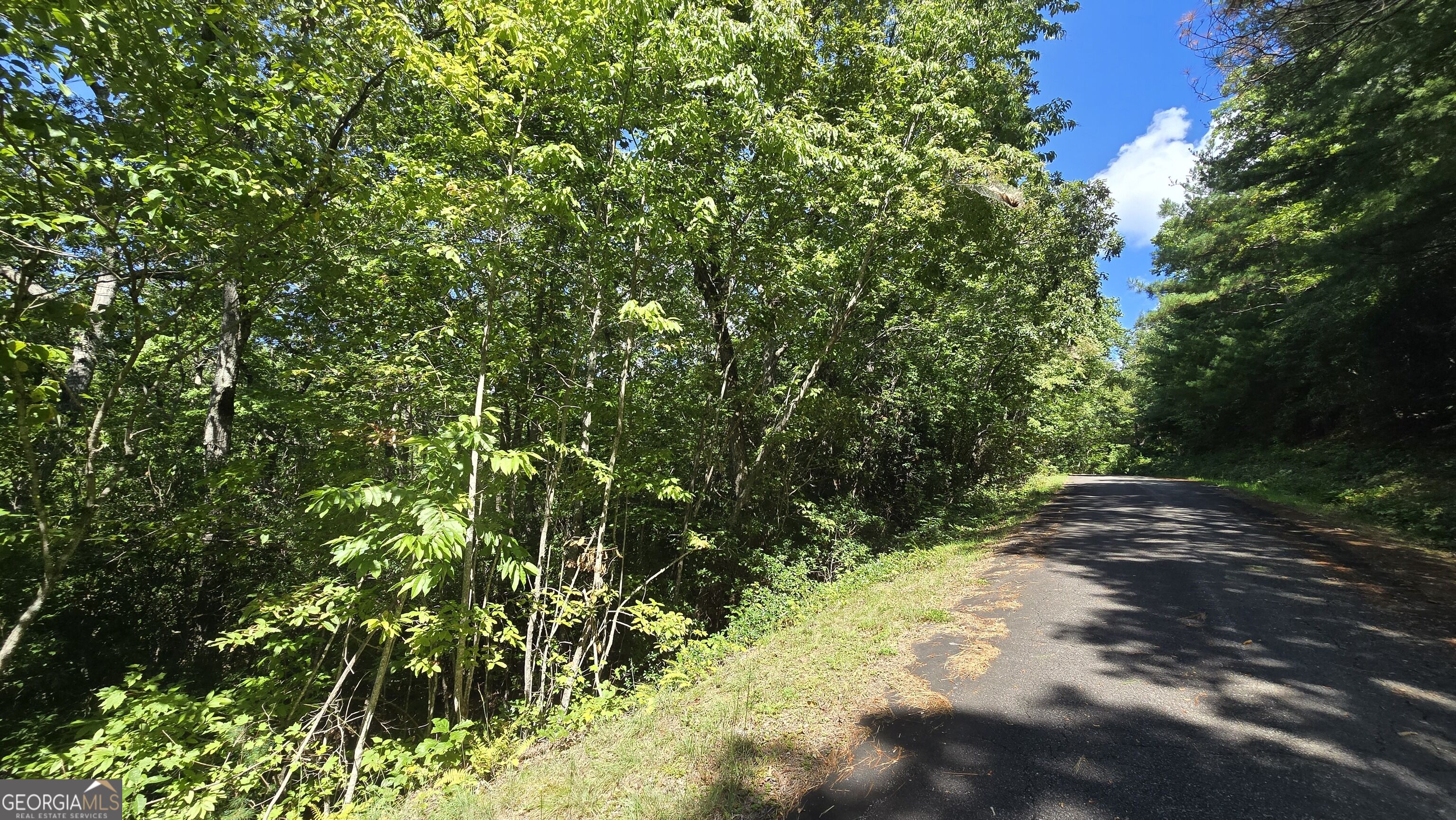 Lot 3b Victoria Woods Hiawassee GA 30546