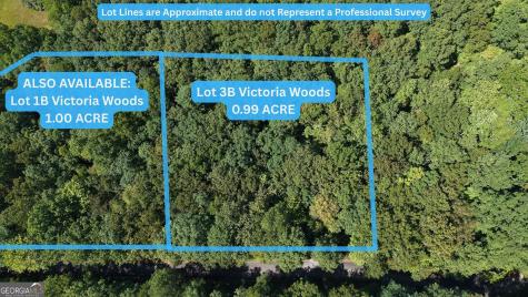 Lot 3b Victoria Woods Hiawassee GA 30546
